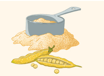 Plant-Powered Protein