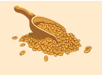 Whole Grain Rolled Oats