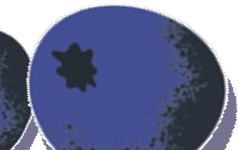 FAQ Image