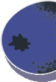 FAQ Image