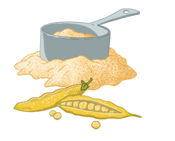 PLANT PROTEIN