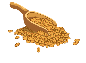 WHOLE GRAIN ROLLED OATS