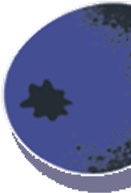 FAQ Image